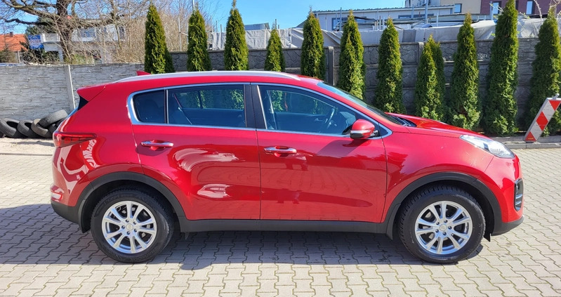 Kia Sportage cena 62700 przebieg: 116000, rok produkcji 2016 z Krosno Odrzańskie małe 254